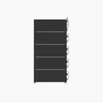51.2V 100Ah Module High Voltage Rack Battery