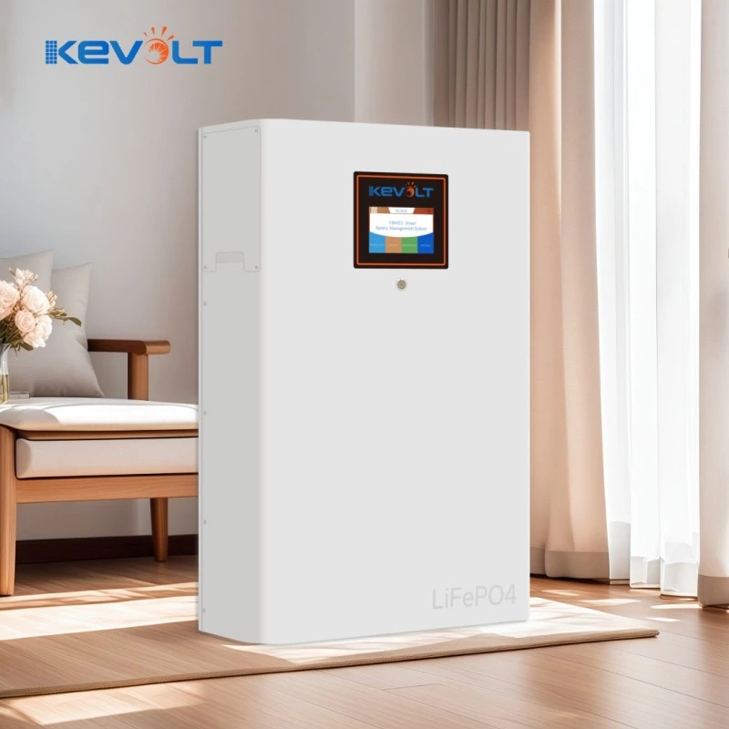 51.2V 100Ah Wall Mounted Battery